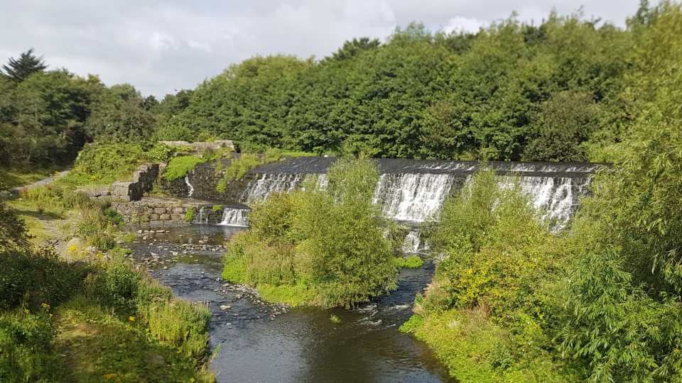 Dodder Weir Dodder Weir