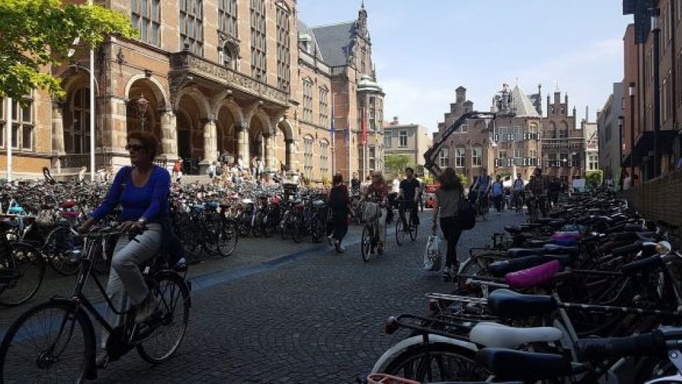 Groningen - Dream Cycle City Dutch Cycling